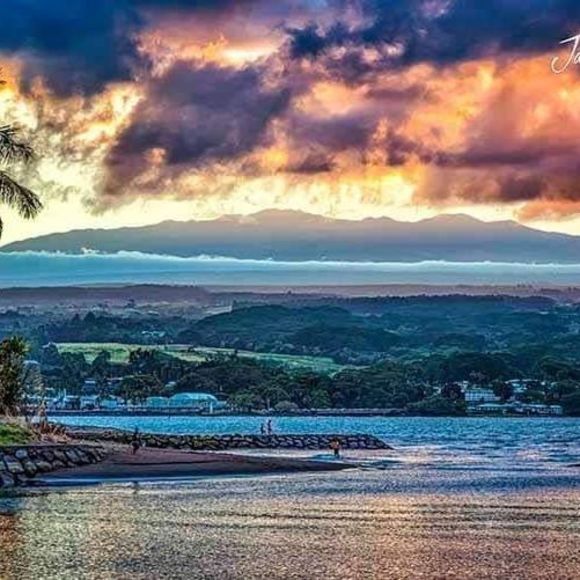 Meet your Posher, Lloyd - Picture 1 of 1